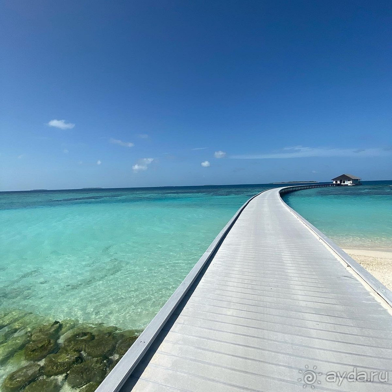 Movenpick оправдал все ожидания на 100%.