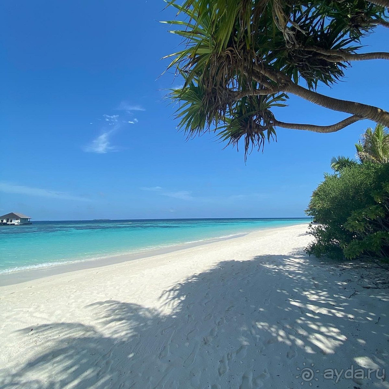 фото Movenpick Resort Kuredhivaru Maldives