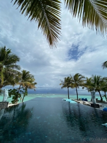 Movenpick оправдал все ожидания на 100%.