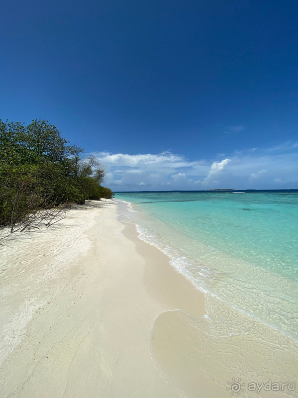 Movenpick оправдал все ожидания на 100%.