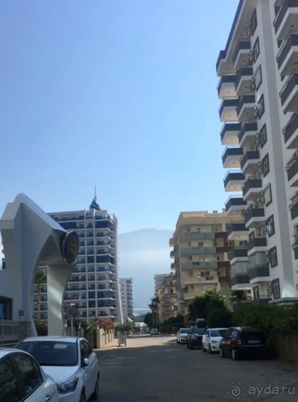 За свои деньги сойдет