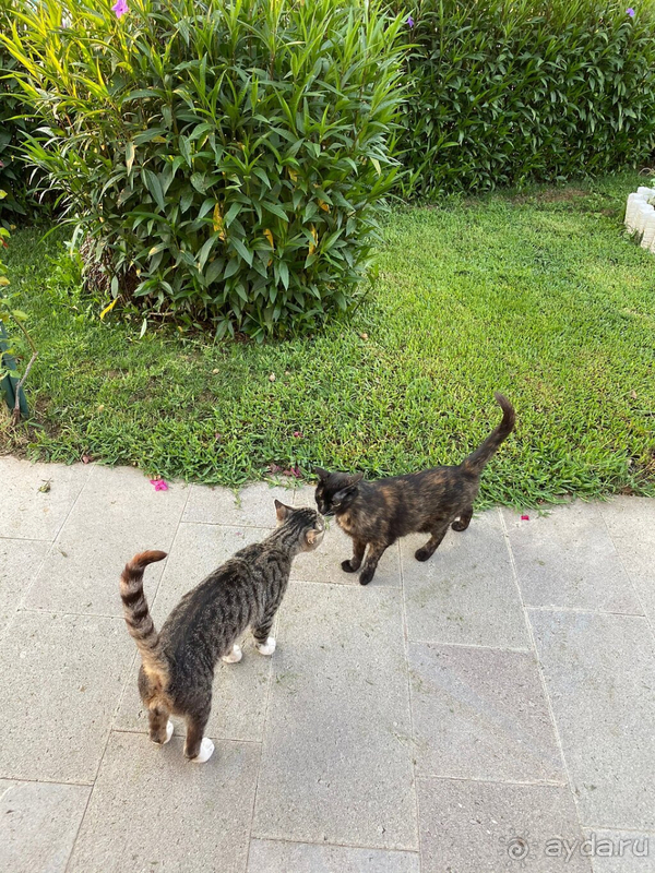 Отдых во время пандемии!