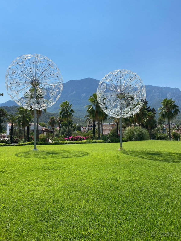 Отдых во время пандемии!