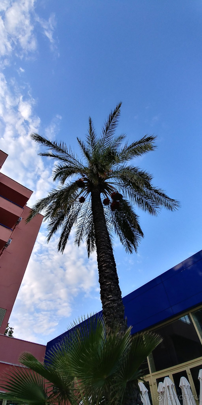 Сладкий октябрь Сладкий октябрь