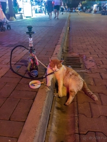 Неплохо, но...