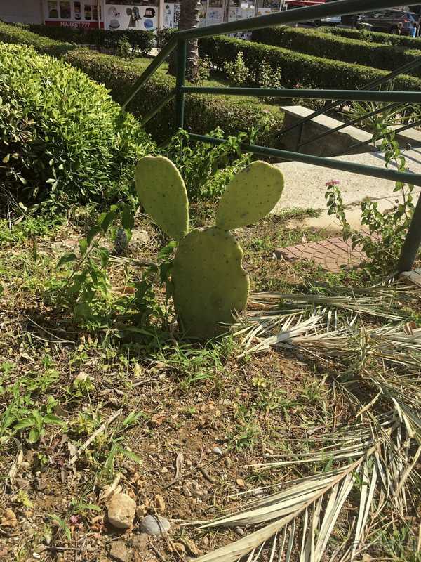 Неплохо, но...