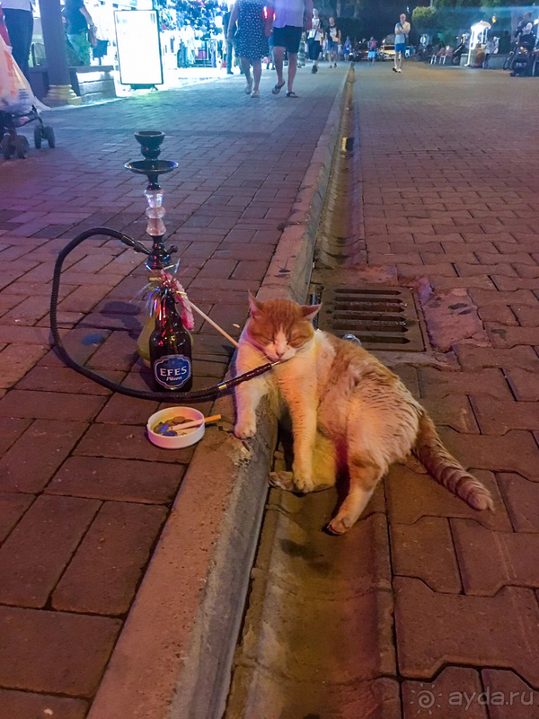 Неплохо, но...