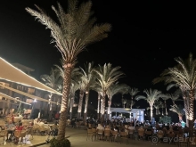 Отдых в Египте.