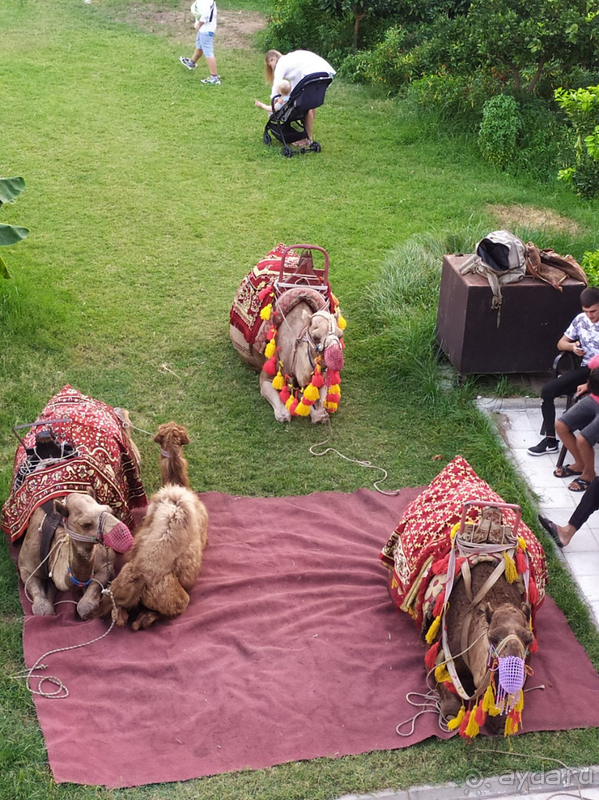 Тот, кто был в настоящей турецкой пятерке - разочаруется