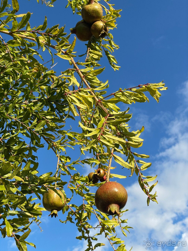 Побывали в раю