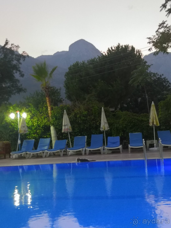 За свою цену - огонь!