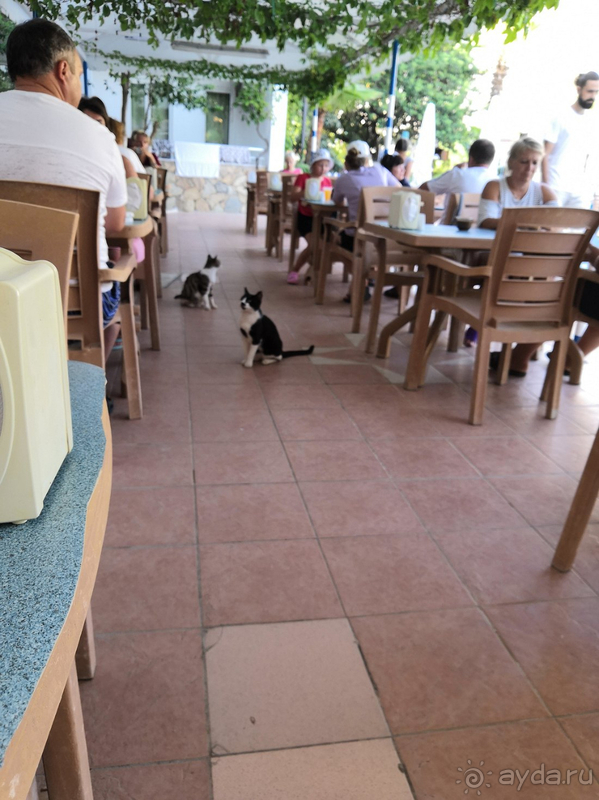 За свою цену - огонь!