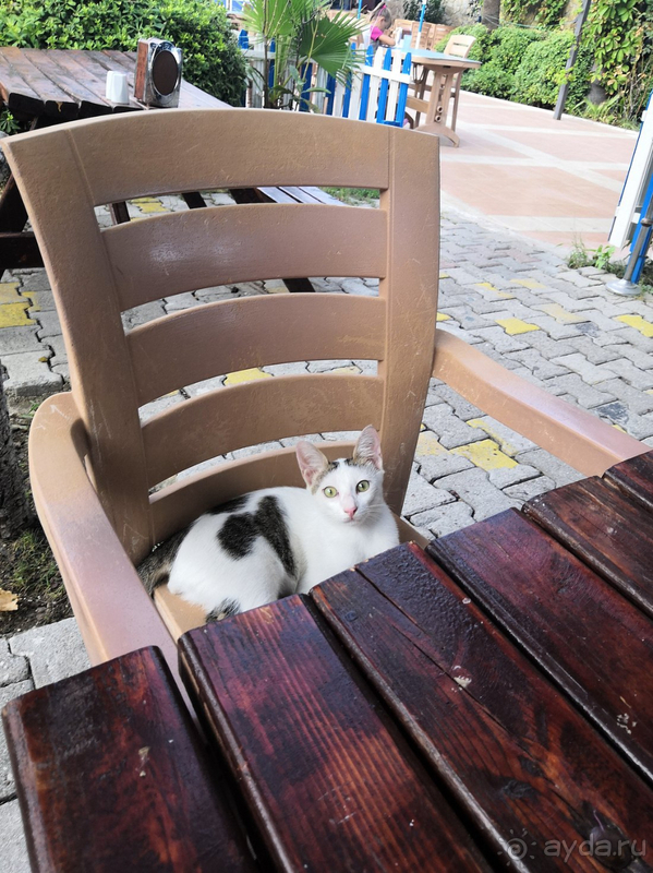 За свою цену - огонь!