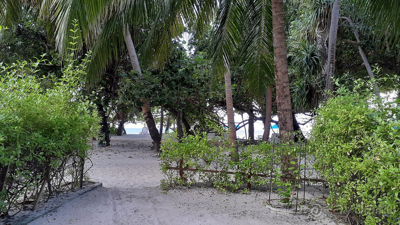 Отель, однозначно, рекомендую!