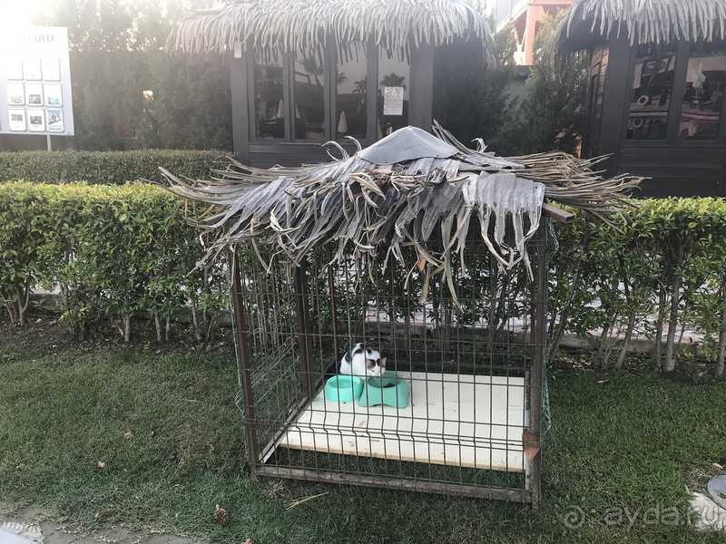 Прекрасный отель, профессиональная команда