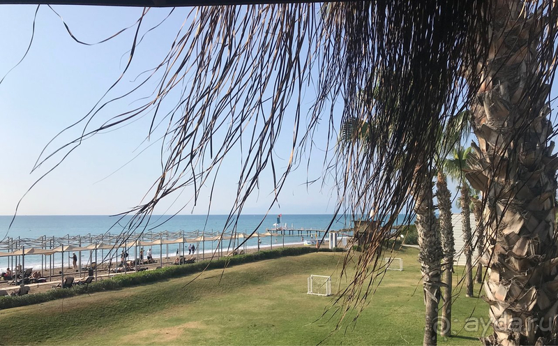 Прекрасный отель, профессиональная команда