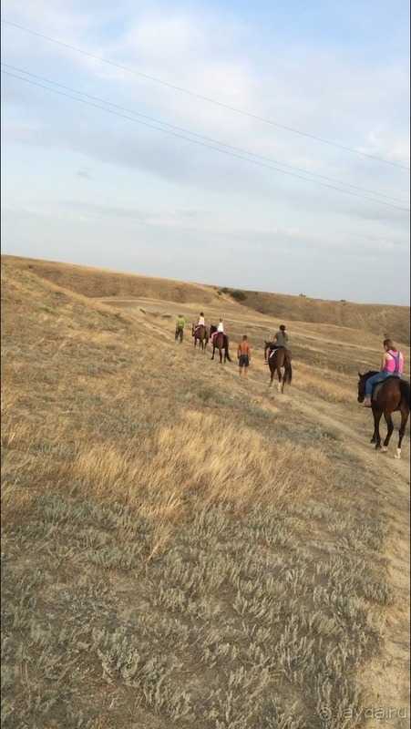 Отзыв об отдыха п.Орджоникидзе мини-гостиница "Белый лебедь"