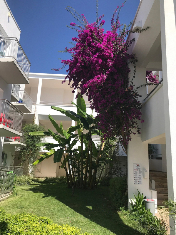 Могу рекомендовать отель Могу рекомендовать отель