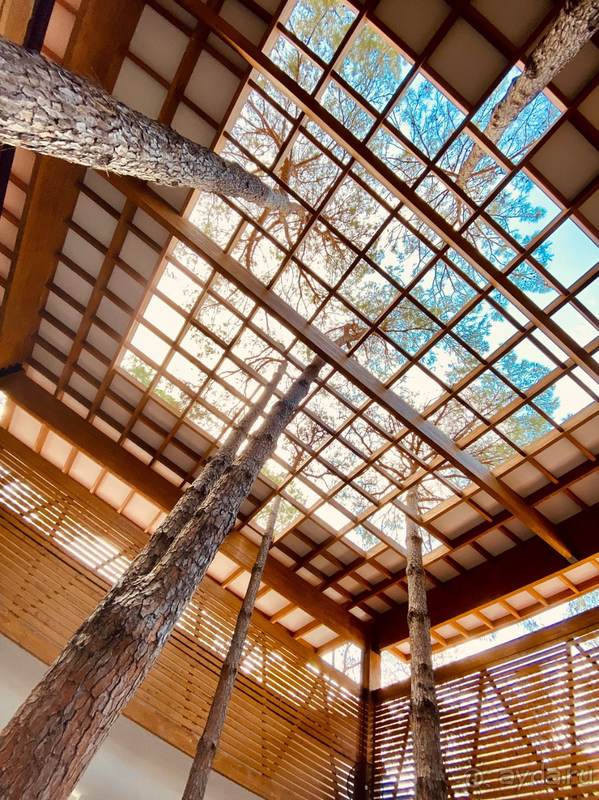 Великолепный отель!