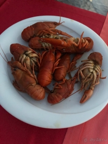 Могу сказать одно - это было великолепно!