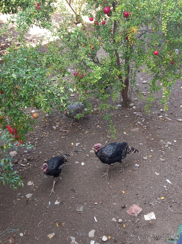 Главное, чтобы повезло с номером