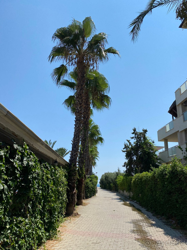 Вернулись отдохнувшими