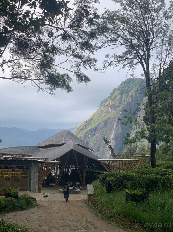 Мы попали в рай!