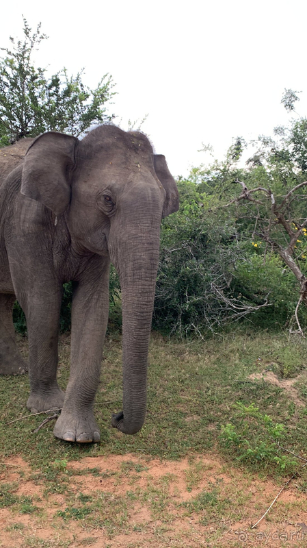 Мы попали в рай!