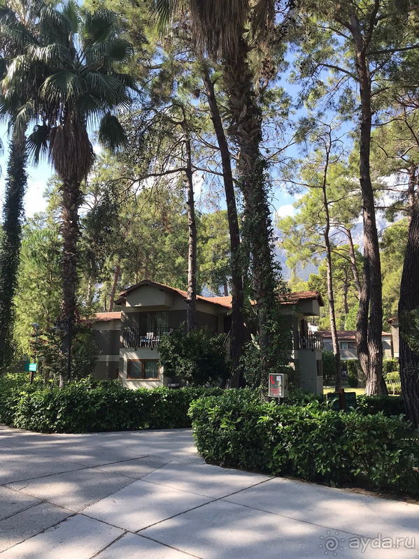 Одним словом рекомендую отель Kimeros Park Holiday Village