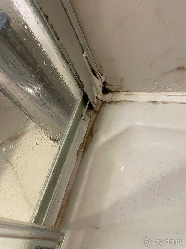 Сплошное разочарование.