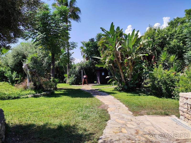 Эмоция много, отель изумительный