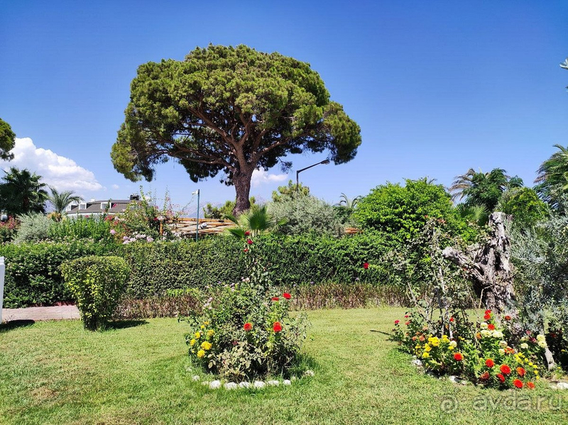 Эмоция много, отель изумительный Эмоция много, отель изумительный