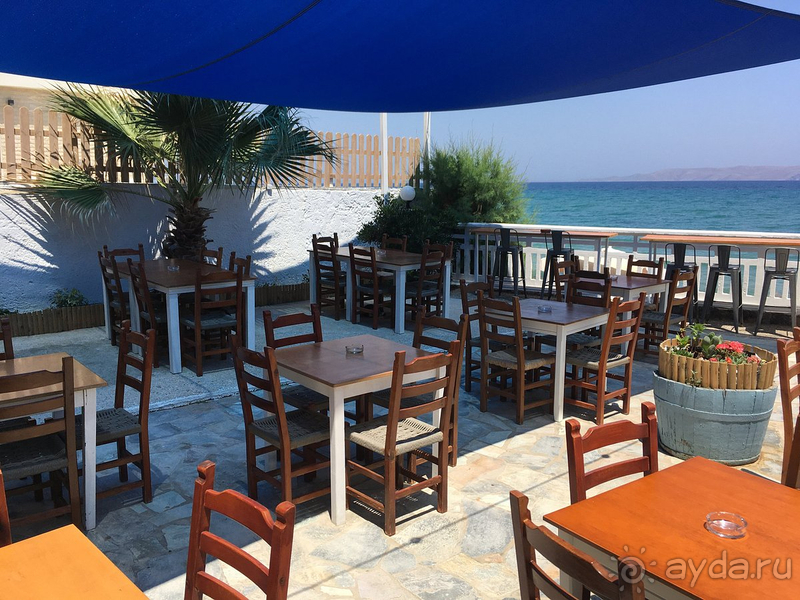 Если говорить в общем - нам все понравилось. 