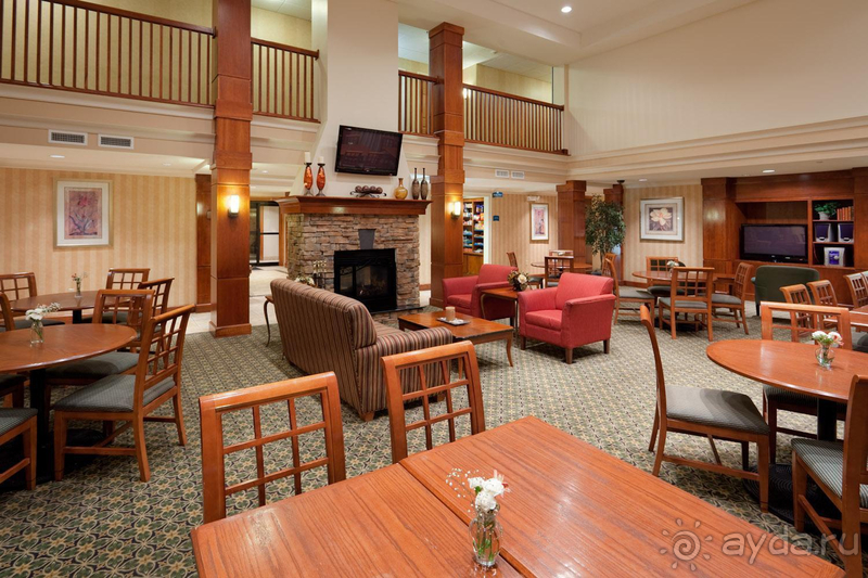 Северная столица поражает своими отличными отелями!