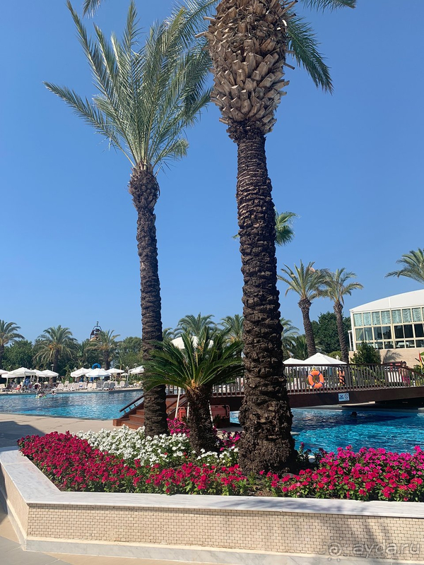 Хороший отель