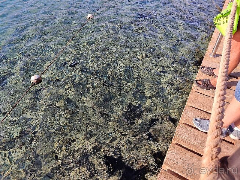 Неплохо отдохнули