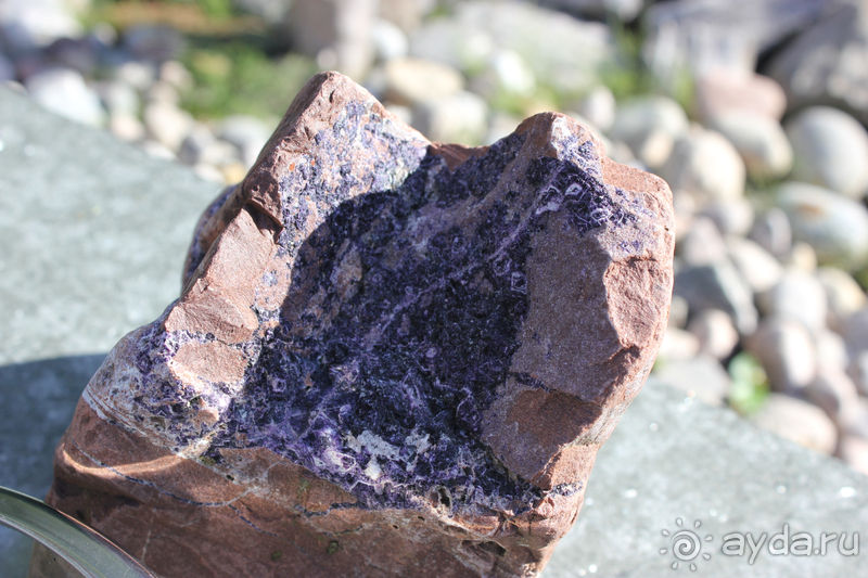 "Каменный сад"