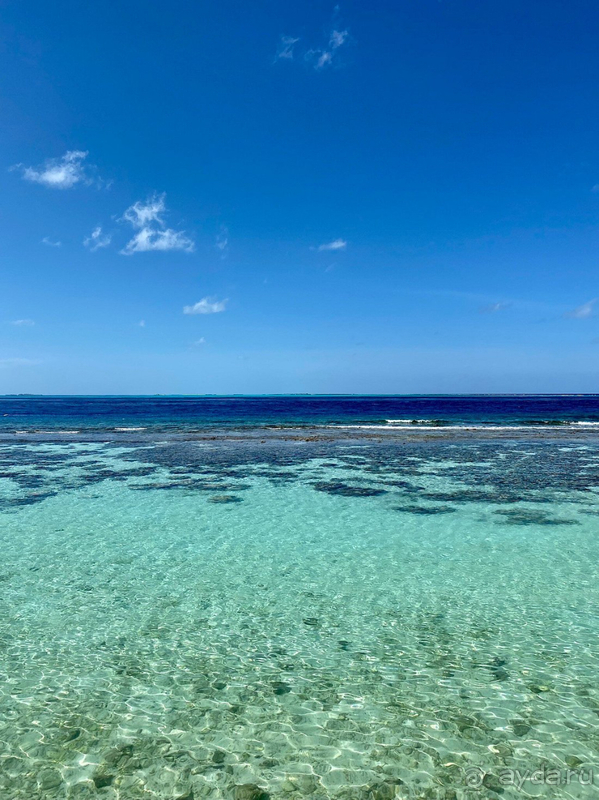 Замечательное место! Рекомендуем абсолютно всем!