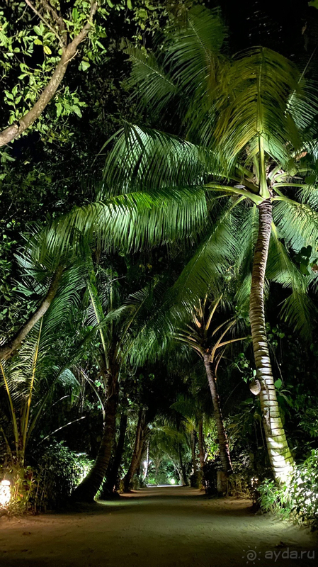 Замечательное место! Рекомендуем абсолютно всем!