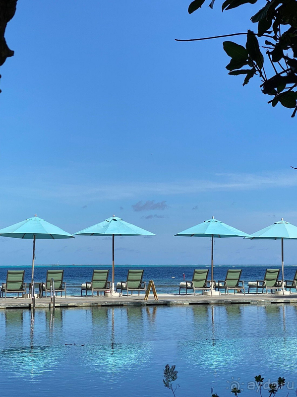 Замечательное место! Рекомендуем абсолютно всем!