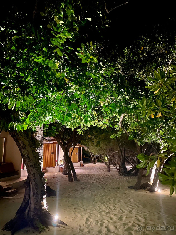 Замечательное место! Рекомендуем абсолютно всем!