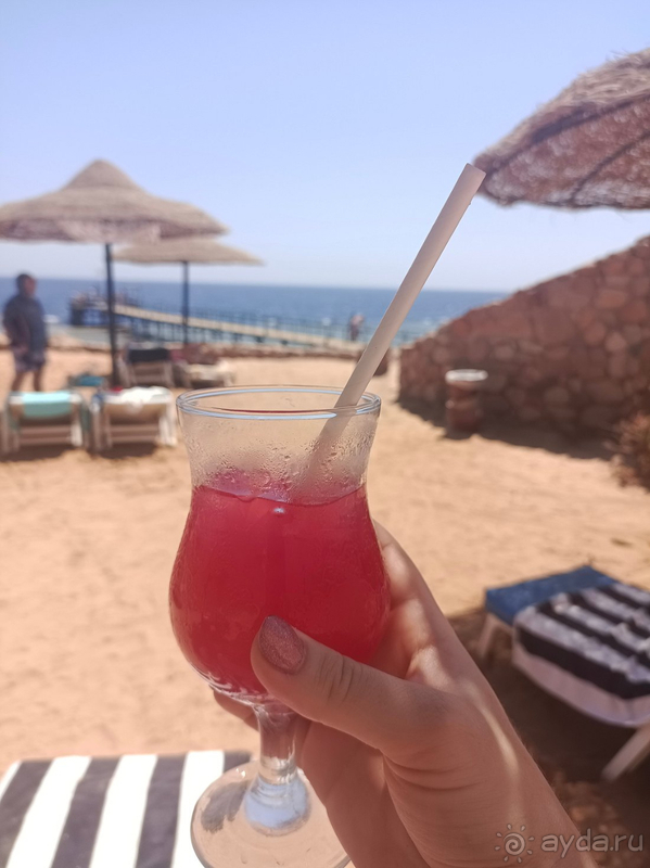 Отличный отдых в Египте