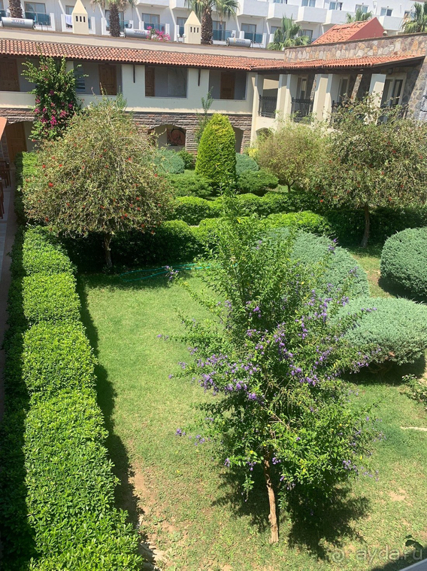 В целом, отель стоит своих денег