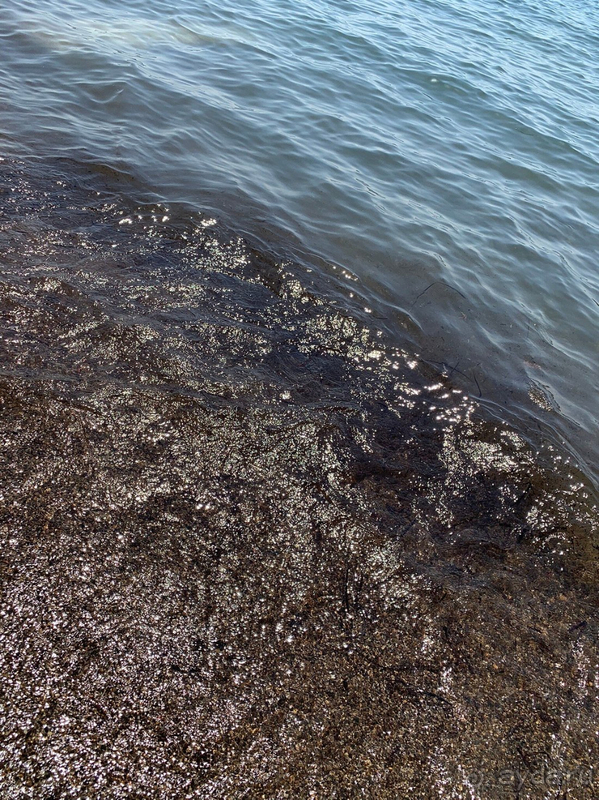 В целом, отель стоит своих денег