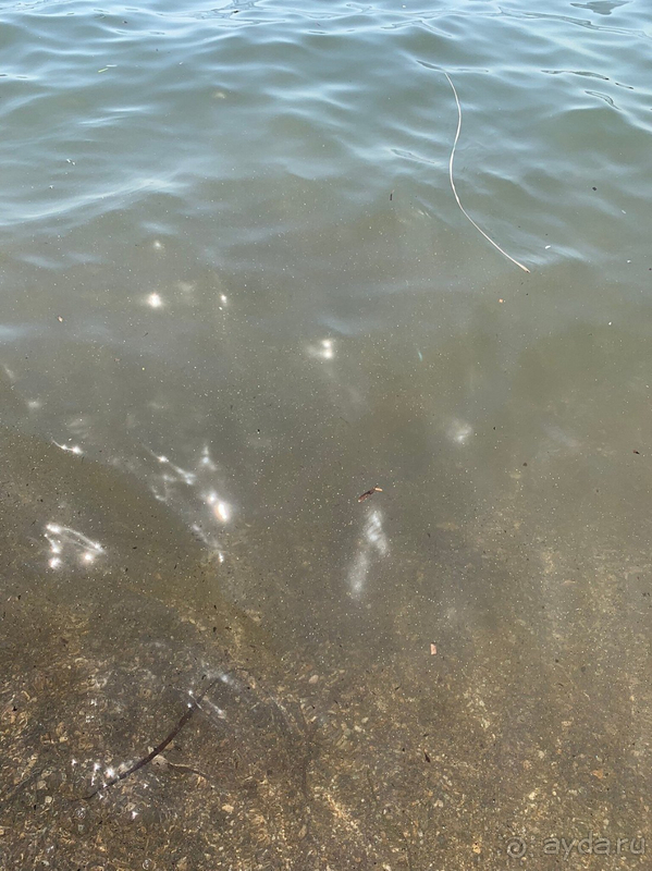 В целом, отель стоит своих денег