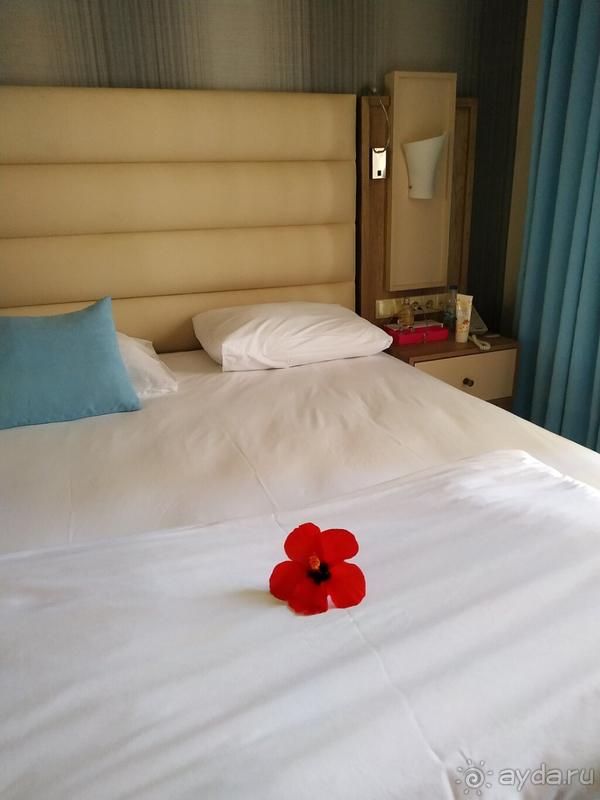 Не хватает вечерней зажигательной анимации!