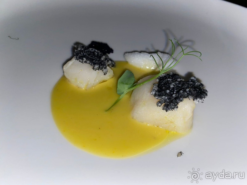 Спасибо Corendon Playa Kemer за наш волшебный отдых