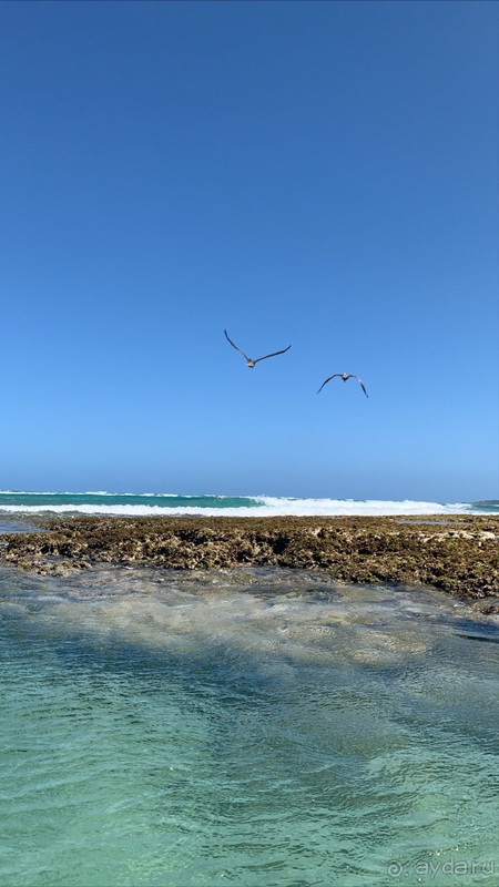 Замечательный отель!