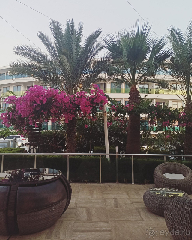 Хороший отель за свои деньги Хороший отель за свои деньги