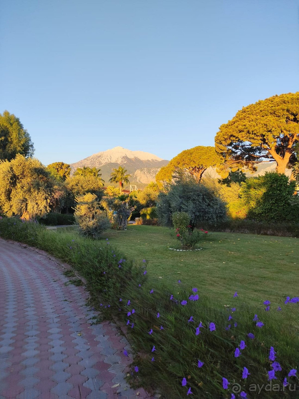 Отель хороший, если вам нужен отдых – то только сюда